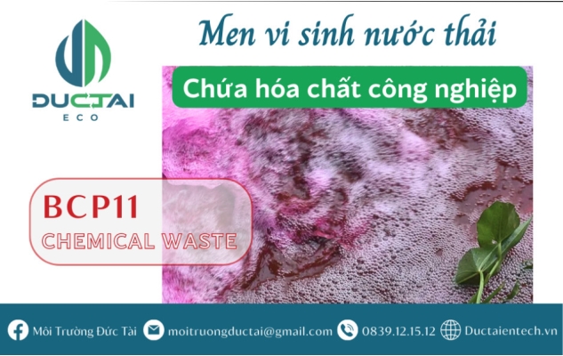 BCP 11 – MEN VI SINH CHO NƯỚC THẢI CHỨA HÓA CHẤT