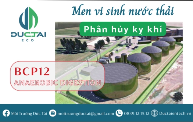 BCP 12 – MEN VI SINH CHO BỂ KỴ KHÍ – PHÂN HỦY CHẤT BÉO