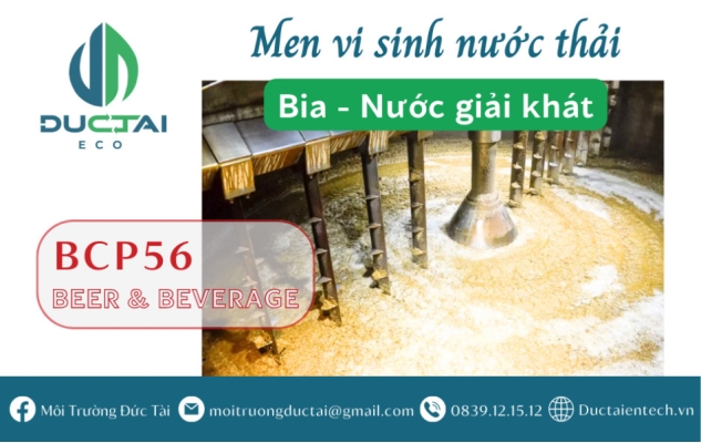 BCP 56 – MEN VI SINH CHO NƯỚC THẢI BIA – GIẢI KHÁT