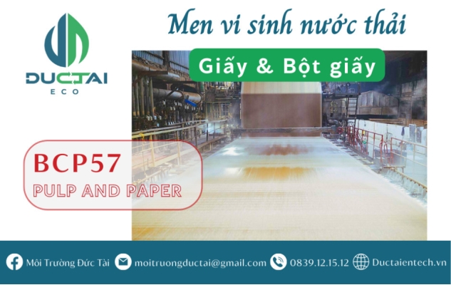 BCP 57 – MEN VI SINH CHO NƯỚC THẢI GIẤY & BỘT GIẤY