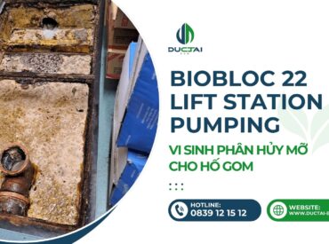 SP - BIOBLOC 22 – VI SINH PHÂN HỦY MỠ CHO HỐ GOM