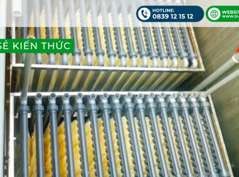 Ảnh chụp Màn hình 2025-09-05 lúc 09.15.44 Ảnh chụp Màn hình 2025-09-05 lúc 09.15.44