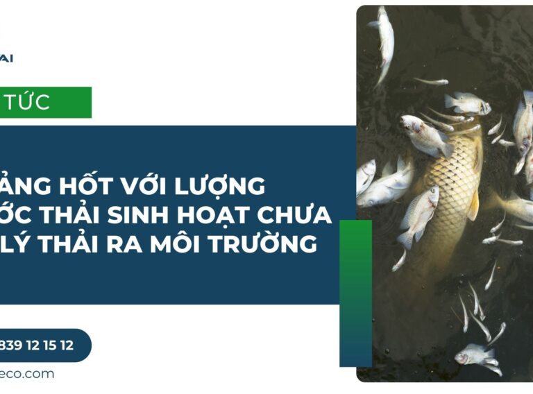 HOẢNG HỐT VỚI LƯỢNG NƯỚC THẢI SINH HOẠT CHƯA XỬ LÝ THẢI RA MÔI TRƯỜNG